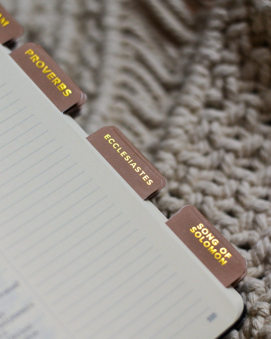 Salt of the Earth Catholic Bible Tabs - Little Way Design Co.