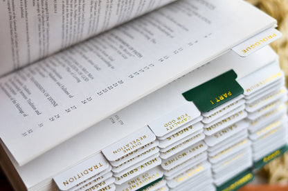 catholic catechism tabs