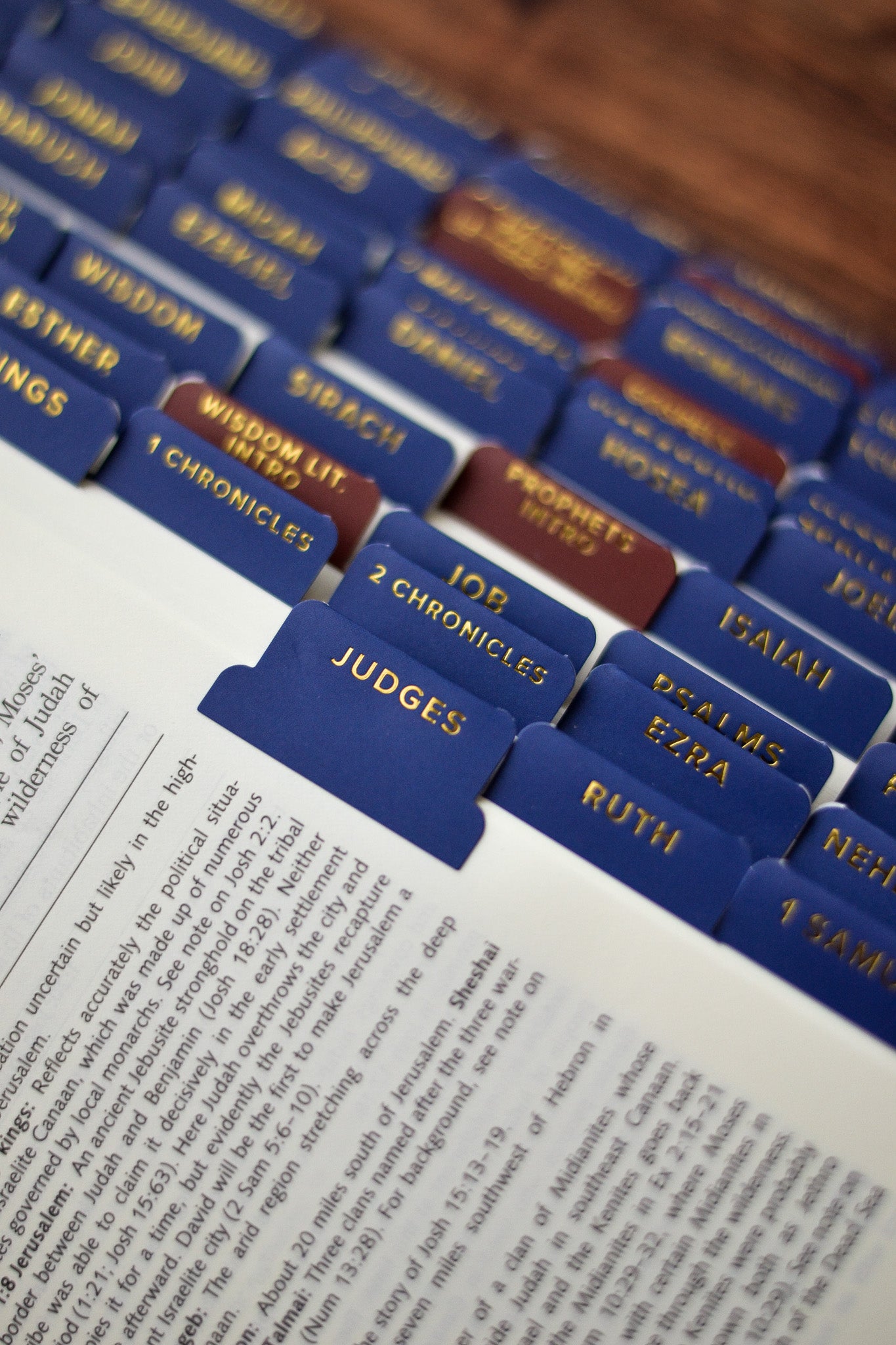 ignatius study bible tabs