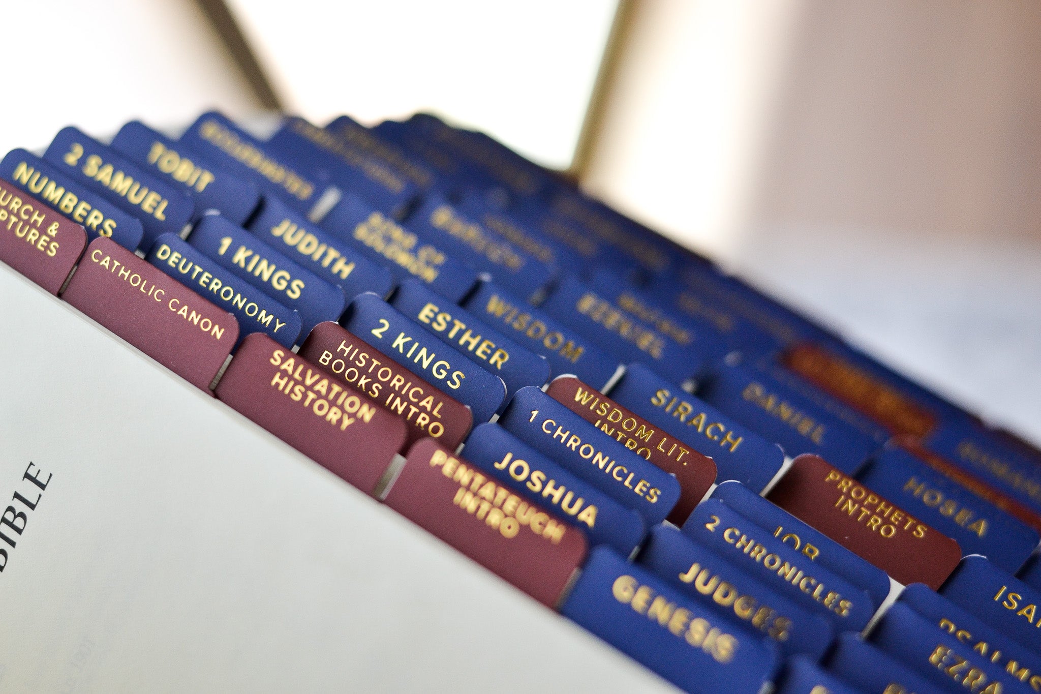 ignatius study bible tabs