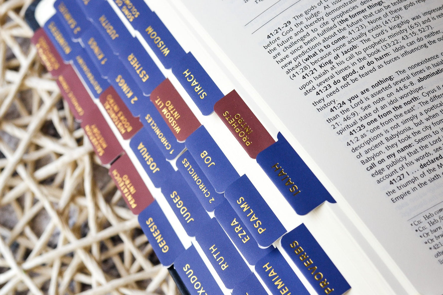 ignatius study bible tabs