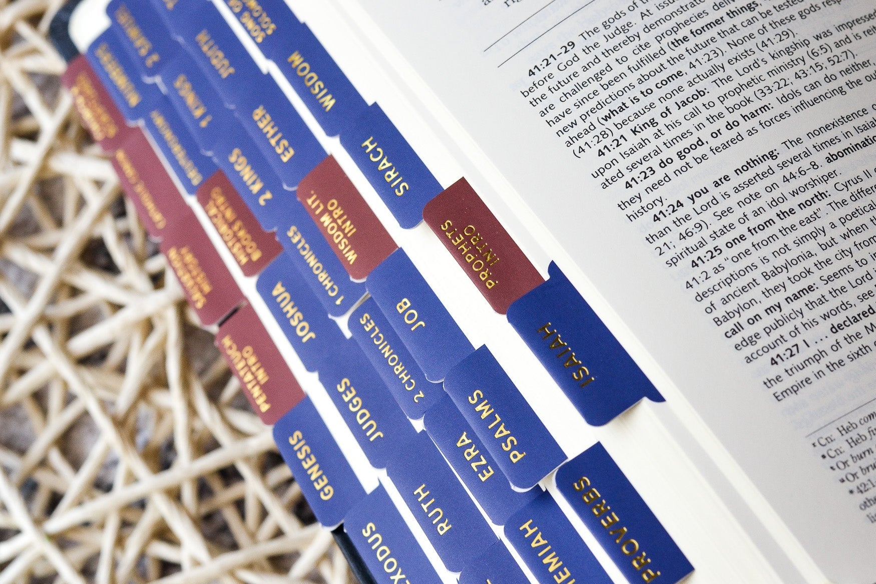 ignatius study bible tabs