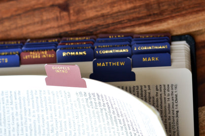 ignatius study bible tabs